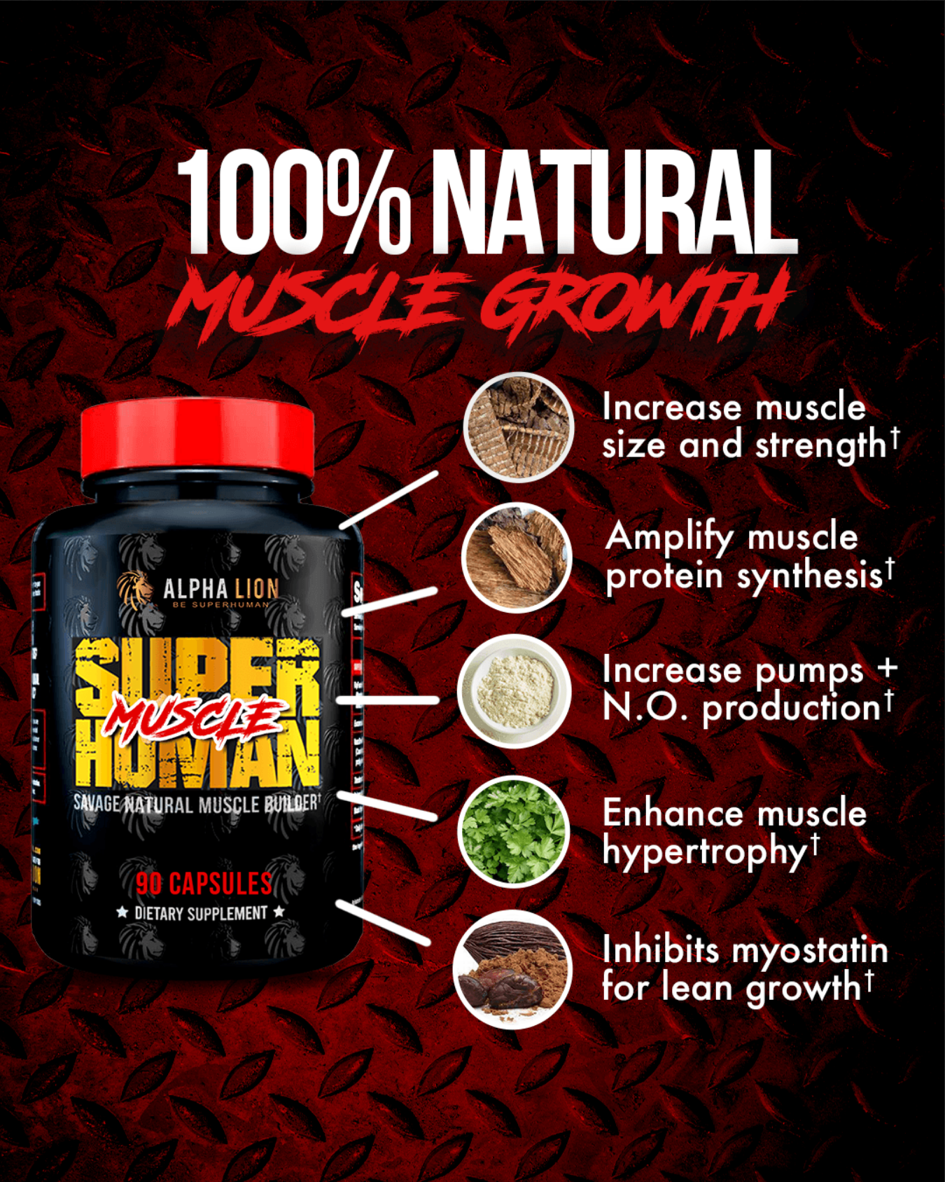 Alpha Lion | Super Human Muscle (Natural Muscle Builder)