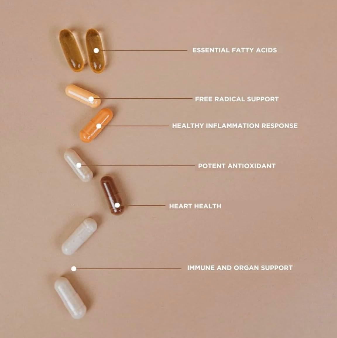 Revive MD | Essential Multi Vitamins Pack