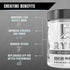 Ryse | Creatine Monohydrate (300 grams)