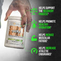 Alpha Lion | Intra - Product Image | Svpplements