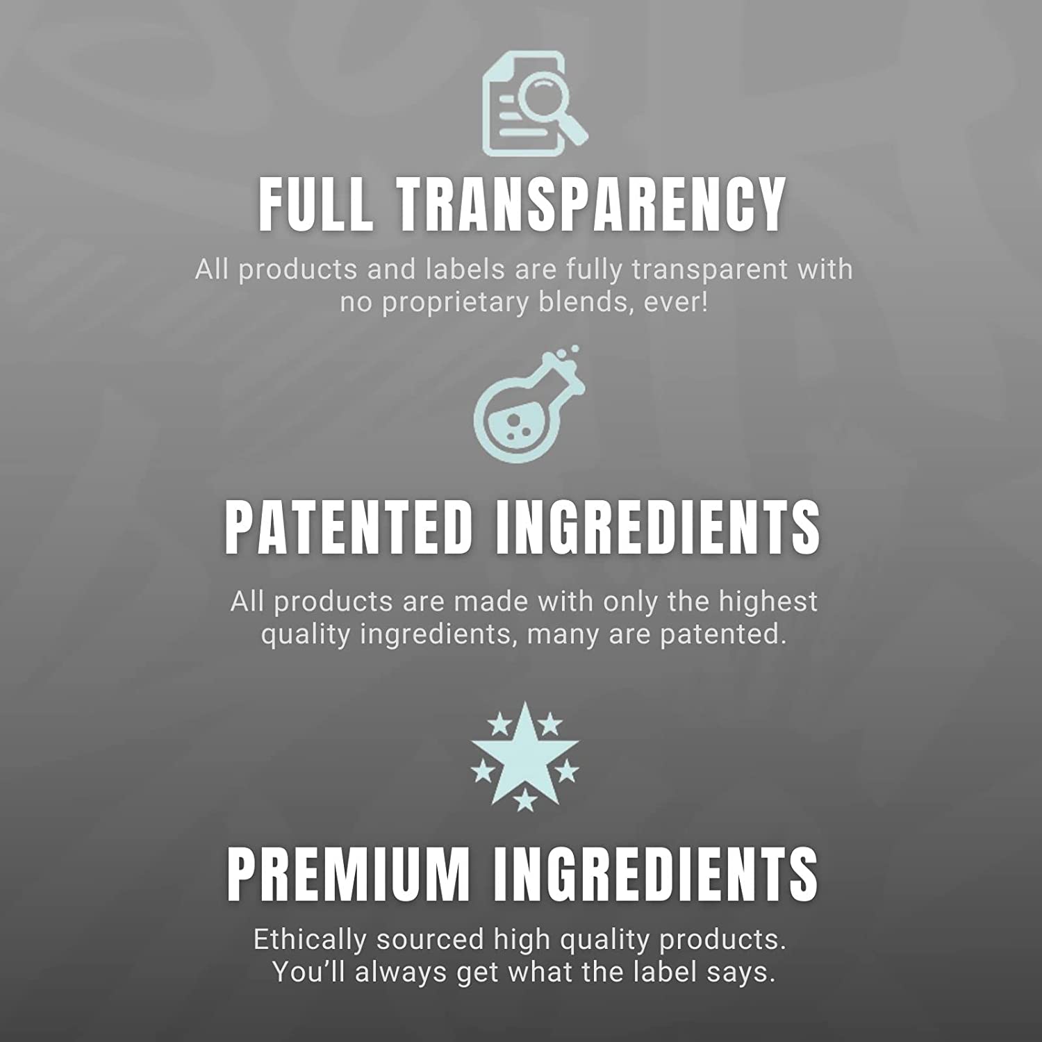 Ryse | Fermented L-Glutamine (300 grams)