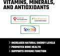 Axe & Sledge Axe & Sledge | Multi+ | Vitamins, Minerals, and Antioxidants - Back View | Svpplements