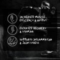 Afterdark Afterdark | OrganX | Organ Defender - Package Detail | Svpplements