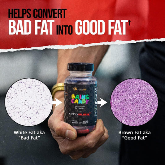 Alpha Lion Gains Candy MitoBurn Fat Burner Capsules 30 Servings Supplement Facts - MitoBurn® 250mg per capsule | Svpplements