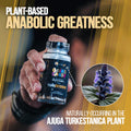 Alpha Lion Dietary Supplement - Product View | Svpplements