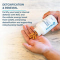Revive Revive MD | Complete Vital - Package Detail | Svpplements