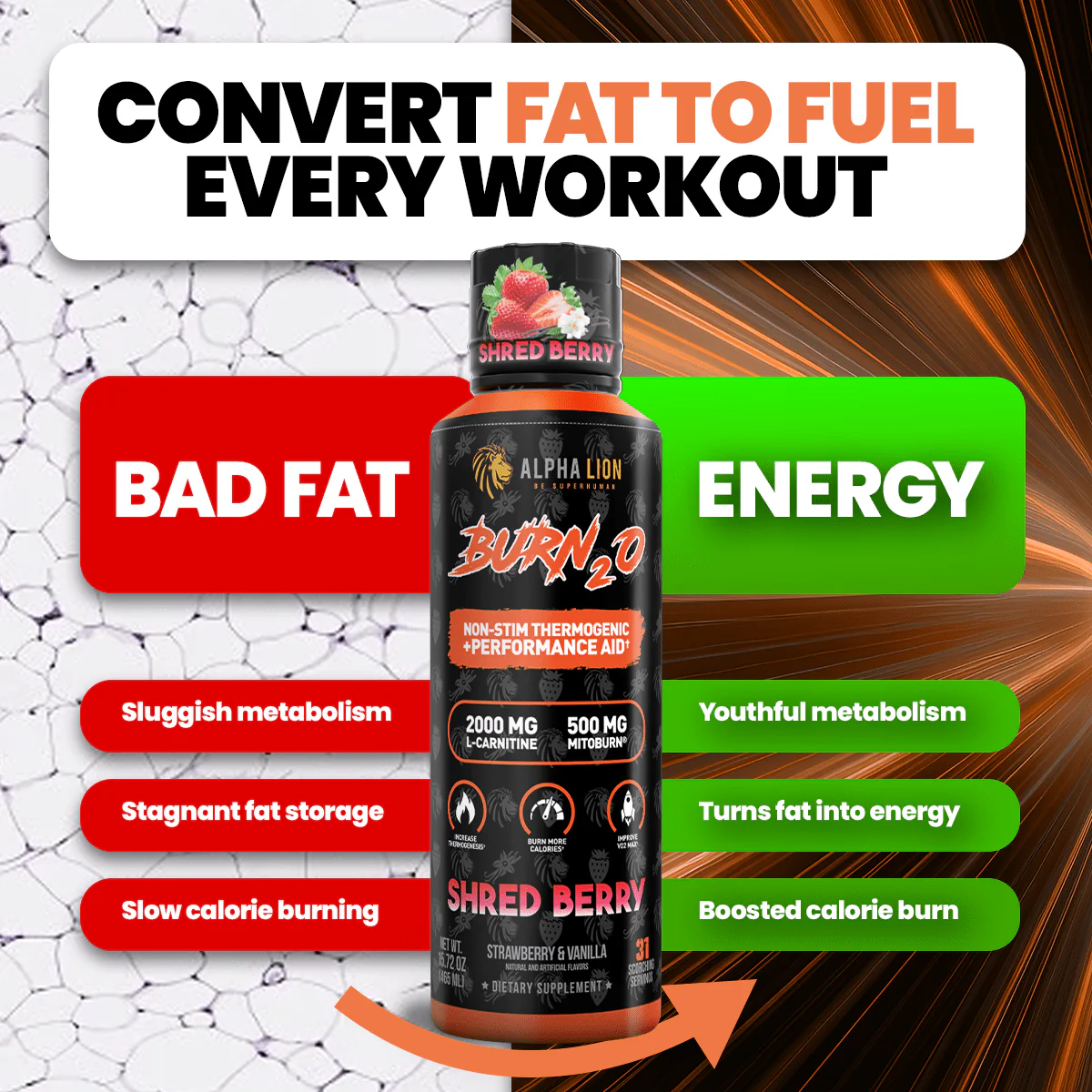 Alpha Lion | Super Human Burn2O