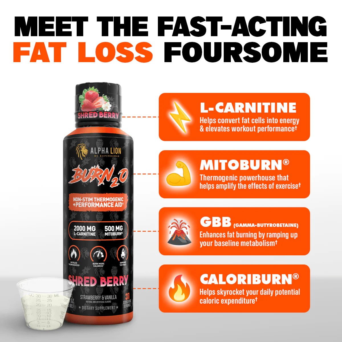 Alpha Lion | Super Human Burn2O