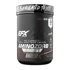 EFX Sports | AminoZorb Elite 21 | PH-Correct Full Spectrum Aminos