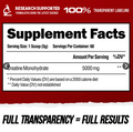 Alpha Lion Alpha Lion | Creatine | 60 servings - Side View | Svpplements