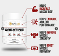 Alpha Lion Alpha Lion | Creatine | 60 servings - Back View | Svpplements