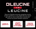 Unmatched Unmatched | Dileucine | 30 servings - Back View | Svpplements