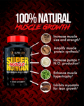 Alpha Lion | SH Muscle | 30 Capsules - Product Image | Svpplements