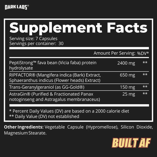 Dark Labs | Built AF