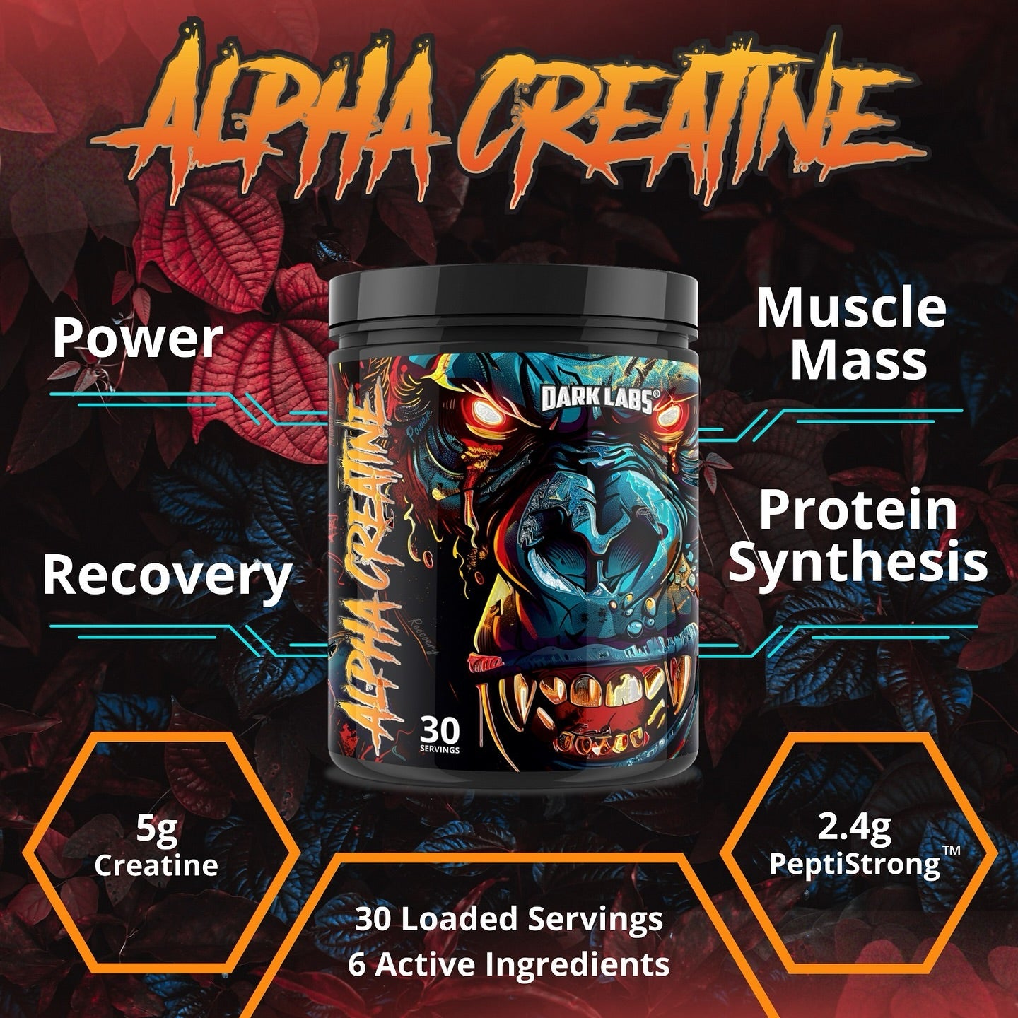 Dark Labs | Alpha Creatine