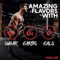 Insane Labz Insane Amino Hellboy Edition Amino Pre-Workout Powder 30 Servings - Flavor Options | Svpplements