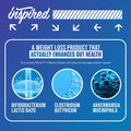 Inspired Nutraceuticals | GLX | Complete 4-in-1 Stim-Free System