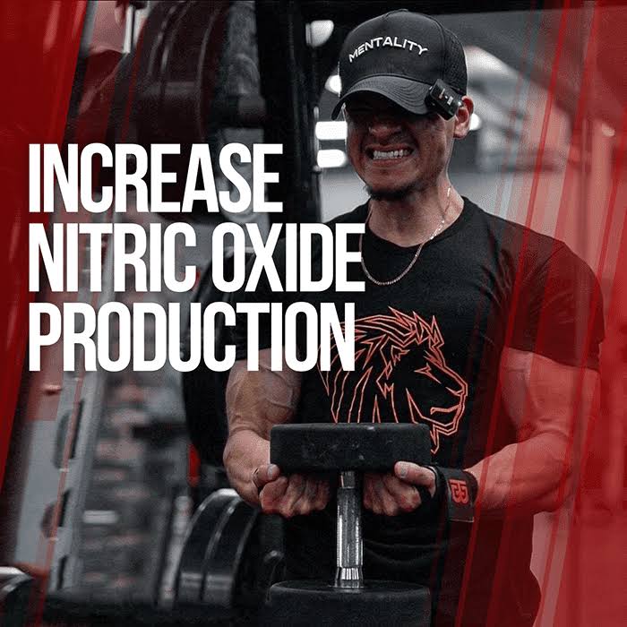 Alpha Lion | Gains Candy | Nitrosigine