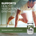 GAT Sport GAT Sport | Testrol Platinum - Back View | Svpplements