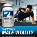 GAT Sport GAT Sport | Tribulus | Mens Performance Enhancer - Package Detail | Svpplements