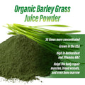 Myovite Super Greens Greens Powder 30 Servings Supplement Facts - Vitamin C 1000mg | Svpplements