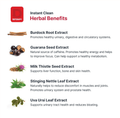 Detoxify Instant Clean Detox Herbal Cleanse Capsules 3 Servings Supplement Facts - Taurine 400mg | Svpplements