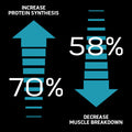MuscleTech Clear Muscle Recovery Supplement 84 Servings Supplement Facts - BetaTOR® 1000mg per softgel, | Svpplements